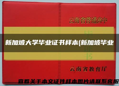 新加坡大學畢業證書樣本(新加坡畢業縮略圖