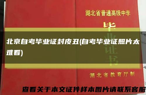北京自考畢業證封皮丑(自考畢業證照片太難看)縮略圖