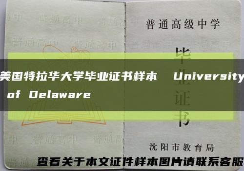 美國特拉華大學畢業證書樣本  University of Delaware縮略圖