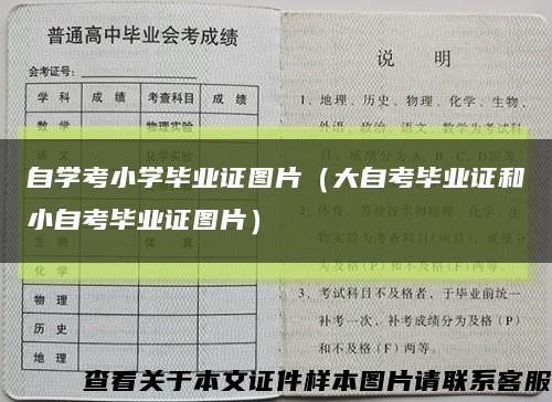 自學考小學畢業證圖片（大自考畢業證和小自考畢業證圖片）縮略圖
