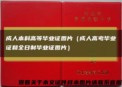 成人本科高等畢業證圖片（成人高考畢業證和全日制畢業證圖片）縮略圖