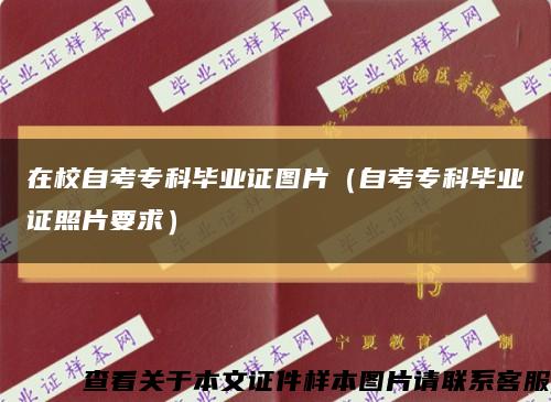 在校自考?？飘厴I證圖片（自考?？飘厴I證照片要求）縮略圖