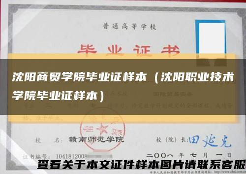 沈陽商貿學院畢業證樣本（沈陽職業技術學院畢業證樣本）縮略圖