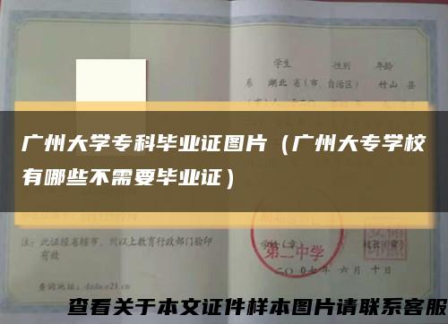 廣州大學?？飘厴I證圖片（廣州大專學校有哪些不需要畢業證）縮略圖