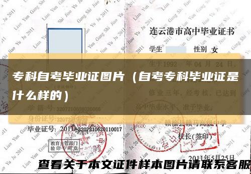 ?？谱钥籍厴I證圖片（自考?？飘厴I證是什么樣的）縮略圖
