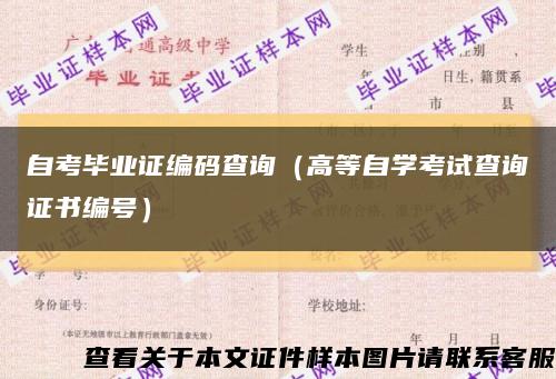 自考畢業證編碼查詢（高等自學考試查詢證書編號）縮略圖
