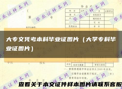 大專文憑考本科畢業證圖片（大學?？飘厴I證圖片）縮略圖