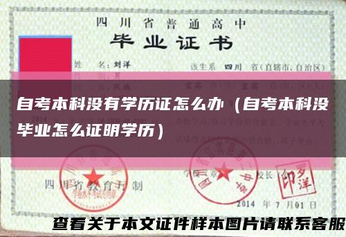 自考本科沒有學歷證怎么辦（自考本科沒畢業怎么證明學歷）縮略圖