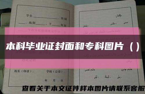 本科畢業證封面和?？茍D片（）縮略圖