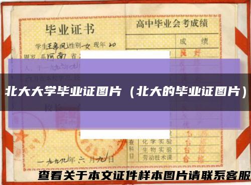 北大大學畢業證圖片（北大的畢業證圖片）縮略圖