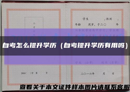 自考怎么提升學歷（自考提升學歷有用嗎）縮略圖