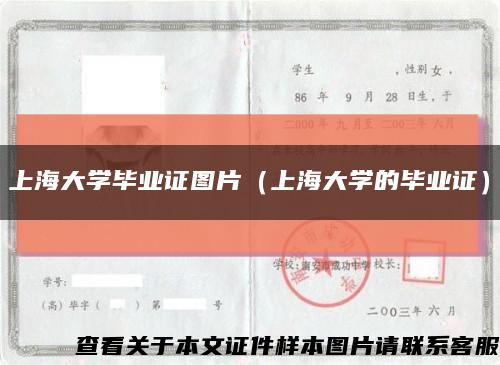 上海大學畢業證圖片（上海大學的畢業證）縮略圖