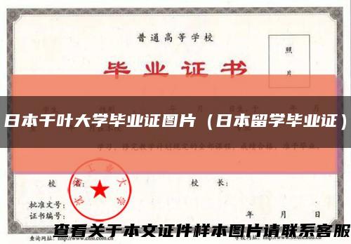 日本千葉大學畢業證圖片（日本留學畢業證）縮略圖