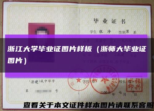 浙江大學畢業證圖片樣板（浙師大畢業證圖片）縮略圖