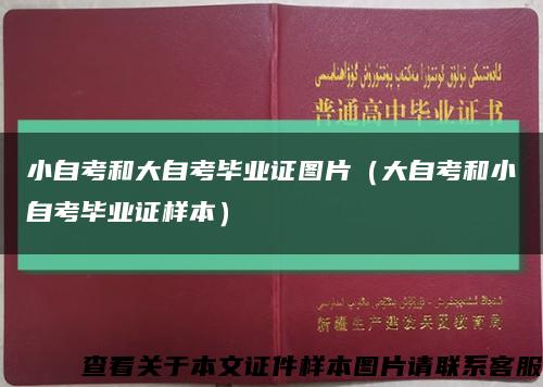 小自考和大自考畢業證圖片（大自考和小自考畢業證樣本）縮略圖