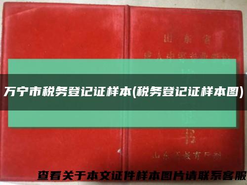 萬寧市稅務登記證樣本(稅務登記證樣本圖)縮略圖