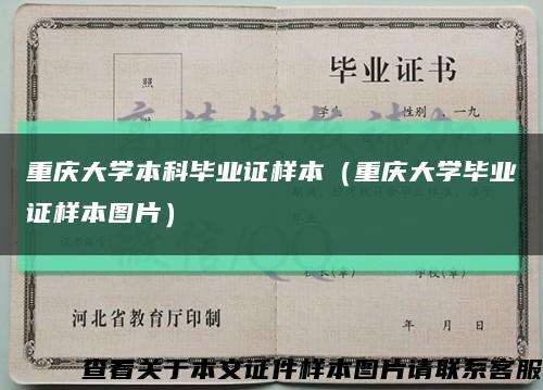 重慶大學本科畢業證樣本（重慶大學畢業證樣本圖片）縮略圖