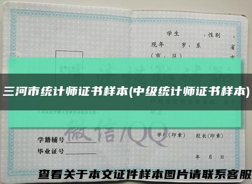 三河市統計師證書樣本(中級統計師證書樣本)縮略圖