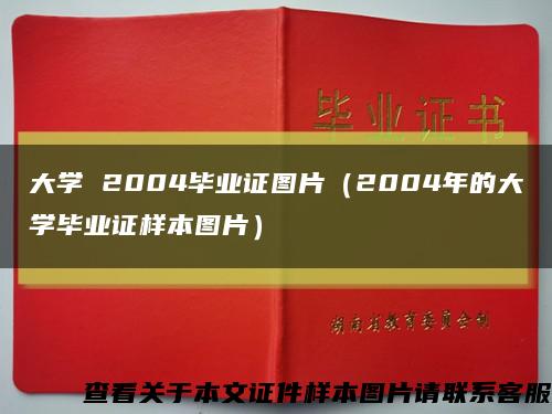 大學 2004畢業證圖片（2004年的大學畢業證樣本圖片）縮略圖