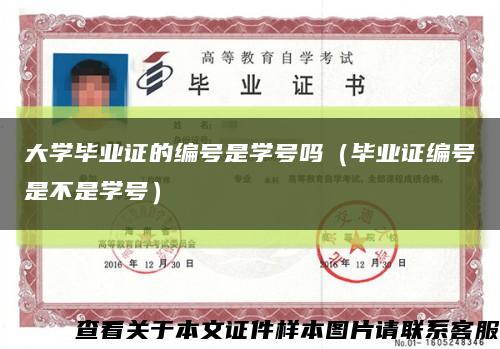 大學畢業證的編號是學號嗎（畢業證編號是不是學號）縮略圖