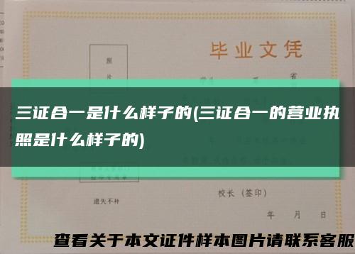 三證合一是什么樣子的(三證合一的營業執照是什么樣子的)縮略圖