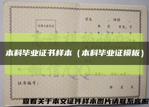 本科畢業證書樣本（本科畢業證模板）縮略圖