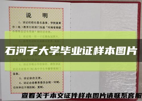 石河子大學畢業證樣本圖片縮略圖