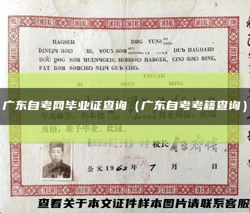 廣東自考網畢業證查詢（廣東自考考籍查詢）縮略圖