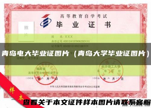 青島電大畢業證圖片（青島大學畢業證圖片）縮略圖