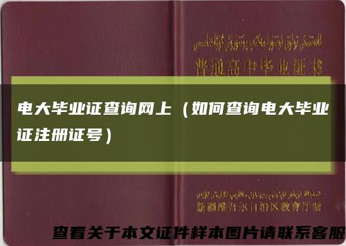 電大畢業證查詢網上（如何查詢電大畢業證注冊證號）縮略圖