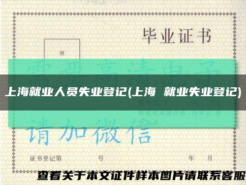 上海就業人員失業登記(上海 就業失業登記)縮略圖