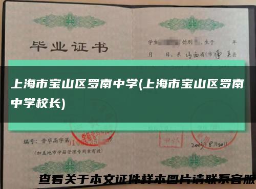 上海市寶山區羅南中學(上海市寶山區羅南中學校長)縮略圖