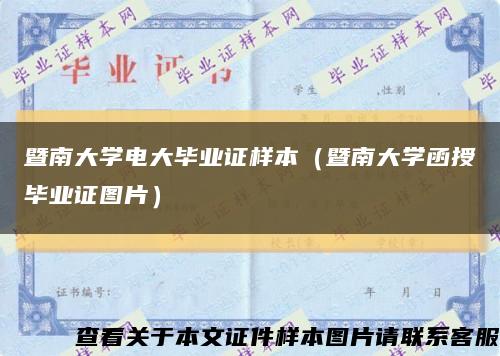暨南大學電大畢業證樣本（暨南大學函授畢業證圖片）縮略圖