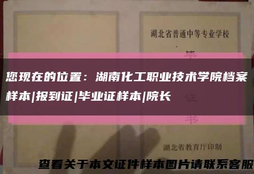 您現在的位置：湖南化工職業技術學院檔案樣本|報到證|畢業證樣本|院長縮略圖