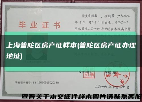 上海普陀區房產證樣本(普陀區房產證辦理地址)縮略圖