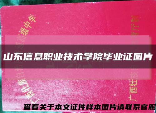 山東信息職業技術學院畢業證圖片縮略圖