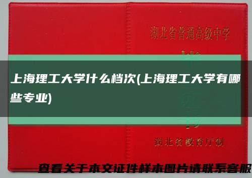 上海理工大學什么檔次(上海理工大學有哪些專業)縮略圖