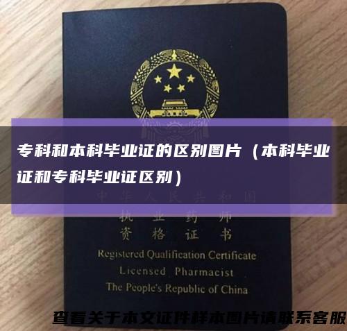 ?？坪捅究飘厴I證的區別圖片（本科畢業證和?？飘厴I證區別）縮略圖