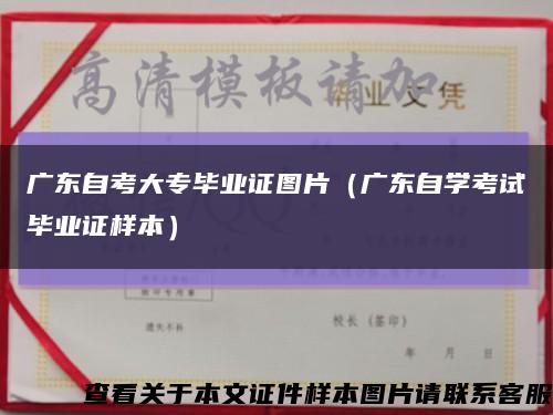 廣東自考大專畢業證圖片（廣東自學考試畢業證樣本）縮略圖