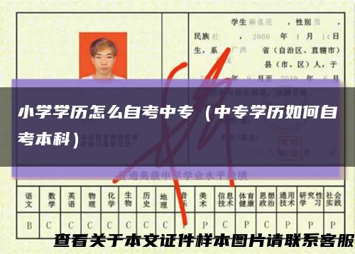小學學歷怎么自考中專（中專學歷如何自考本科）縮略圖