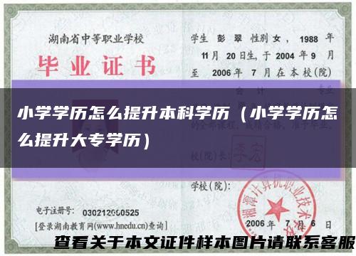 小學學歷怎么提升本科學歷（小學學歷怎么提升大專學歷）縮略圖