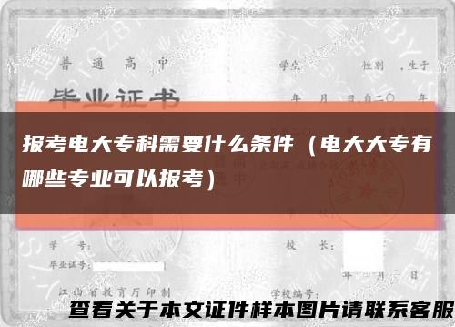 報考電大?？菩枰裁礂l件（電大大專有哪些專業可以報考）縮略圖