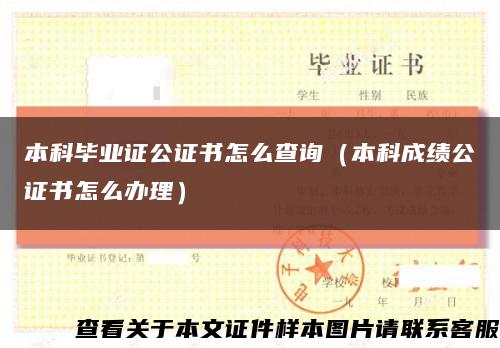 本科畢業證公證書怎么查詢（本科成績公證書怎么辦理）縮略圖