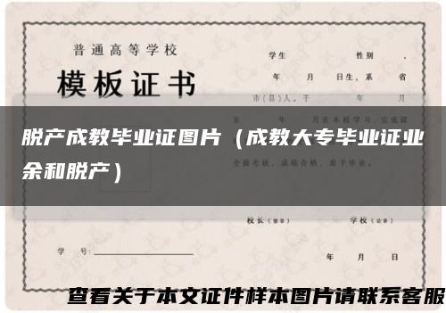脫產成教畢業證圖片（成教大專畢業證業余和脫產）縮略圖