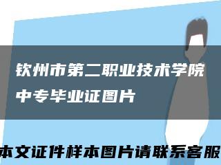 欽州市第二職業技術學院中專畢業證圖片縮略圖