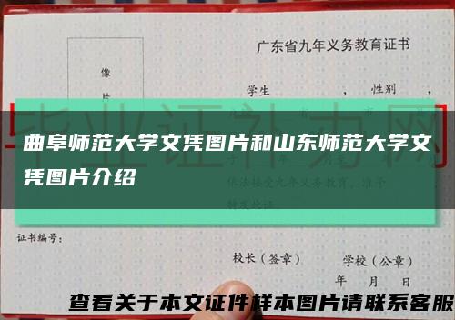 曲阜師范大學文憑圖片和山東師范大學文憑圖片介紹縮略圖