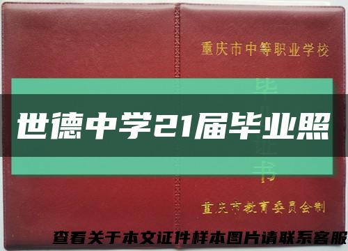 世德中學21屆畢業照縮略圖