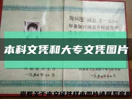 本科文憑和大專文憑圖片縮略圖