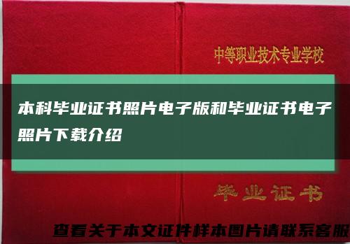 本科畢業證書照片電子版和畢業證書電子照片下載介紹縮略圖
