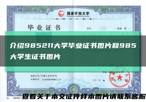 介紹985211大學畢業證書圖片和985大學生證書圖片縮略圖